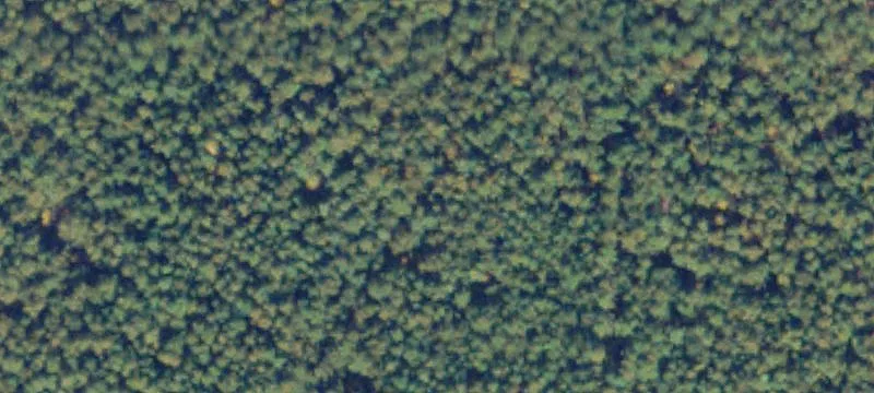 Hunting Land Tract for Sale