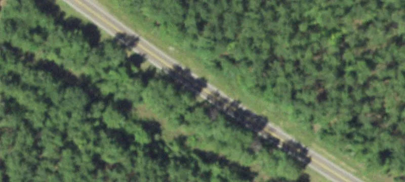 Timberland with Unrestricted Land