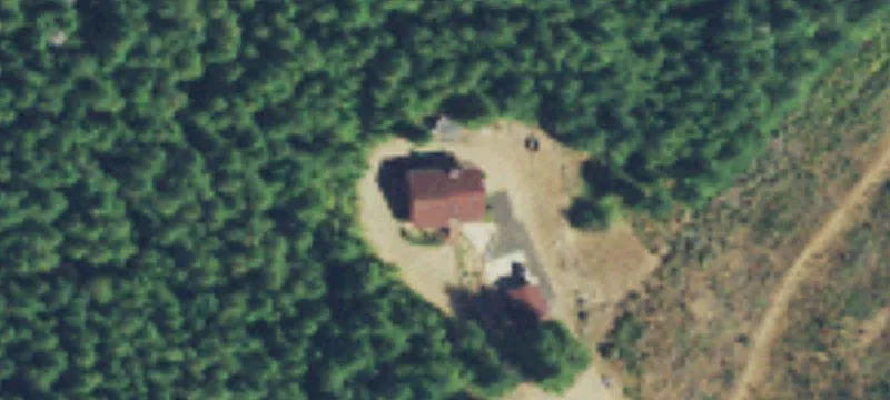 Wooded Recreation & Hunting Land Parcel