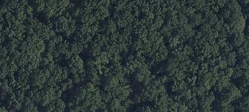 Land / Fee Simple