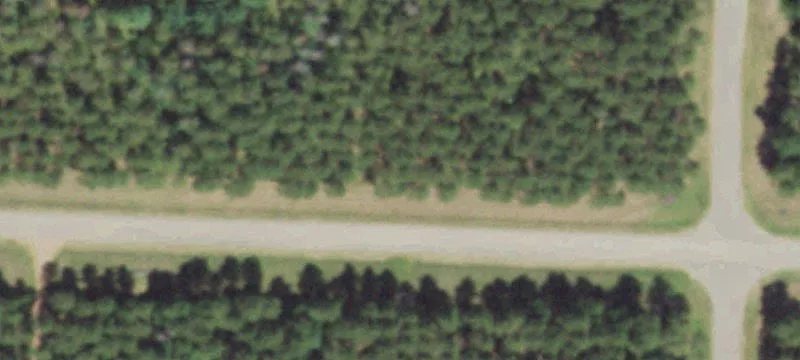 Wooded Waterfront Land with Boat Slip