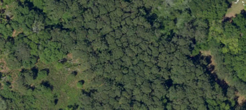 Marsh-Front Waterfront Land Parcel