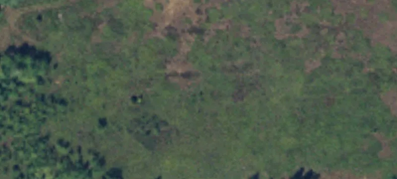 Wooded Recreation Development Land