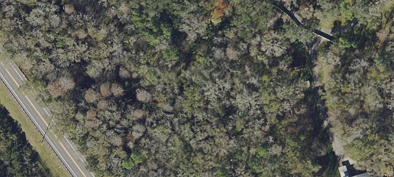 Wooded Residential Development Lot