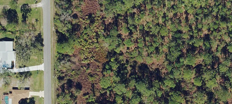 Wooded Residential Development Lot