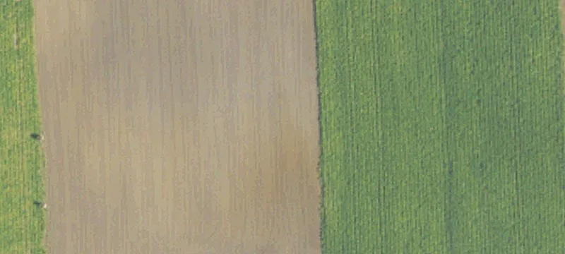 Agricultural Corner Development Parcel