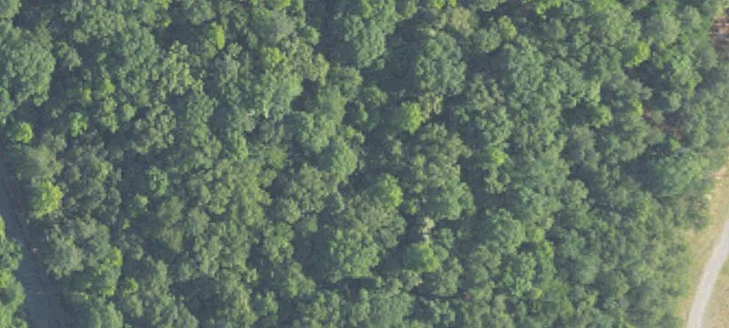 Wooded Residential Building Lot