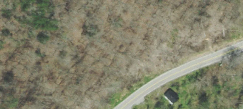 Timber Acreage With Long Road Frontage