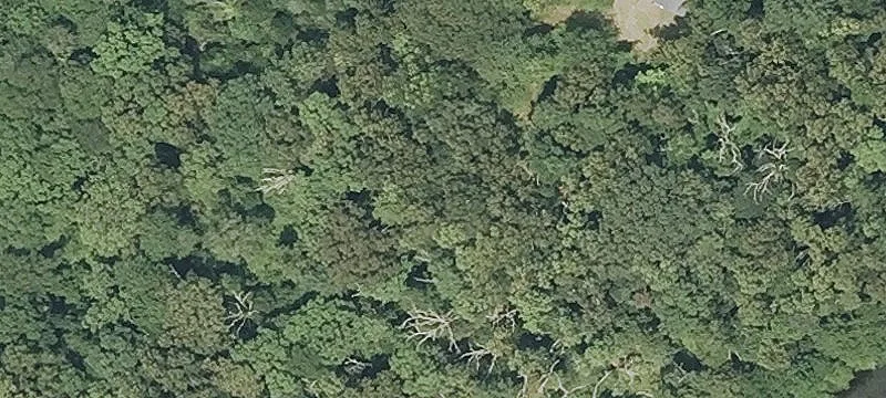 Mixed-Use Development Land with Home