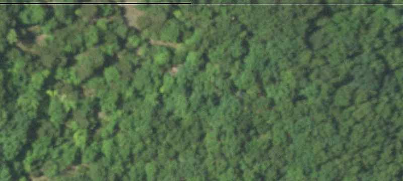 Recreational Hunting Land Tract