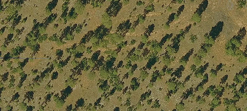 No-Restriction Land for Horses and RVs