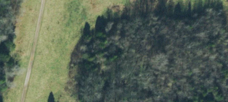 Rural Land Tract with Road Frontage