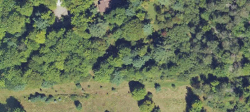 Wooded Hunting Land with Shack
