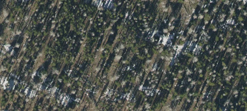 Basin Irrigated Farm and Ranch