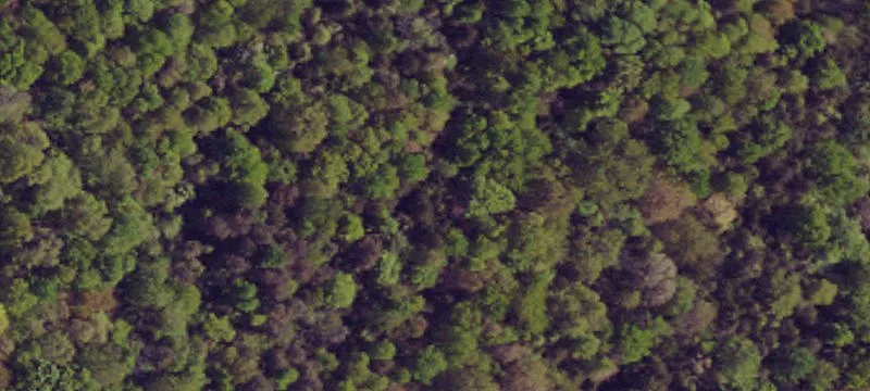 Residential Hunting Land Acreage