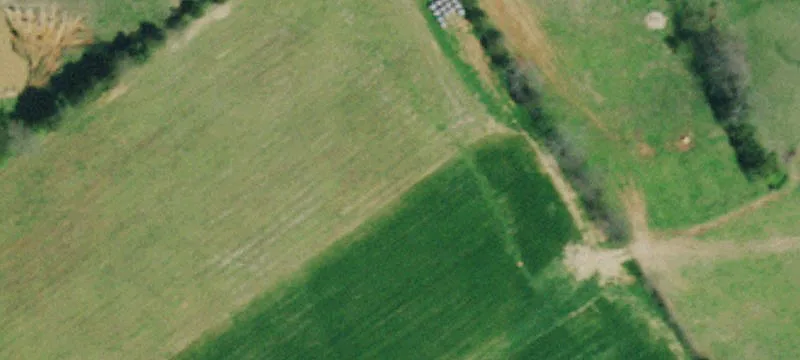 11-Acre Agricultural Land Tract