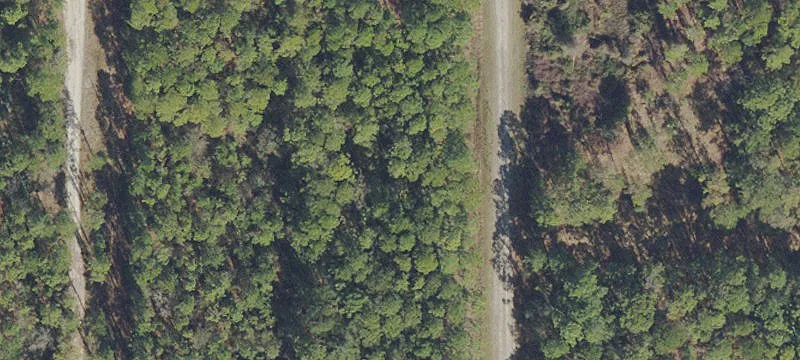Wooded Waterfront Home Lot