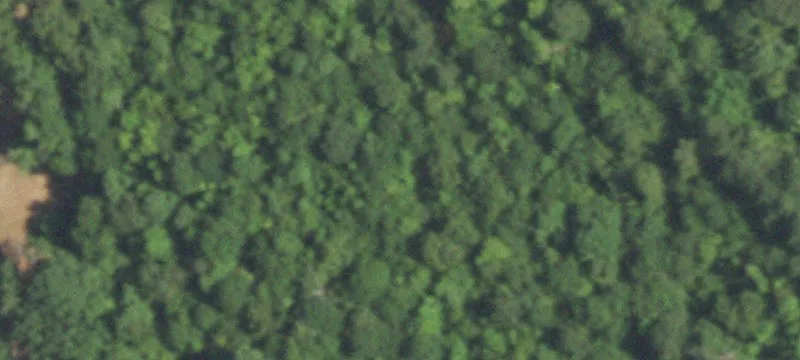 Creekside Hunting Land Tract