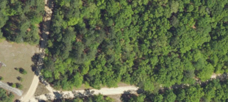 Wooded Residential Lot