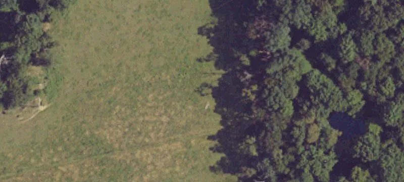 Wooded Land with 3-Car Garage