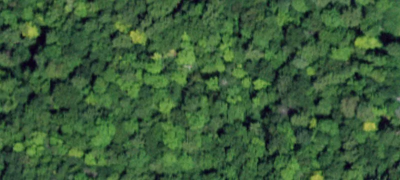 Wooded Residential Development Land