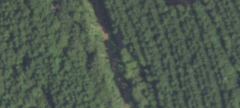 Timber-Reforested Recreation Land
