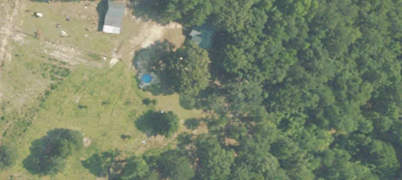 Wooded Hunting and Homesite Land