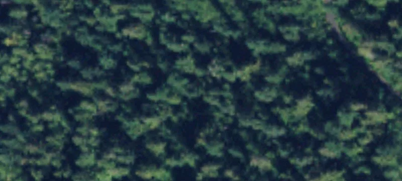 Buildable Mountain Homesite