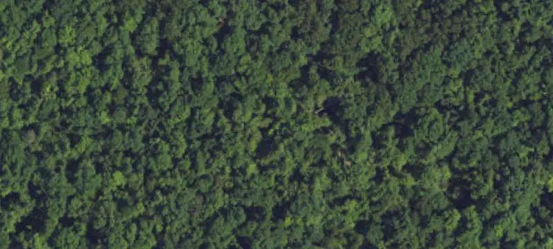 Secluded Hunting Land with Mountain Views