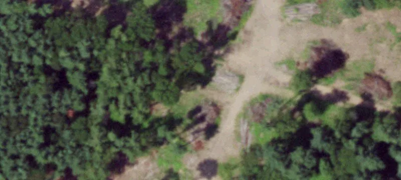 Land with Residential Home and Pole Barns