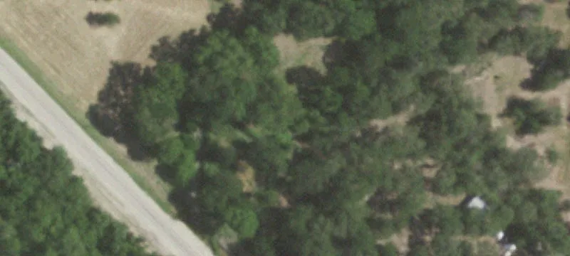 Residential Land with Mature Tree Line