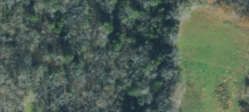 Private Hunting and Cabin Land