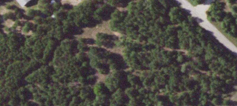 Tree-Covered Sloped Home Site