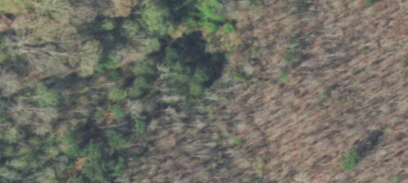 Partially Cleared Acreage with Well