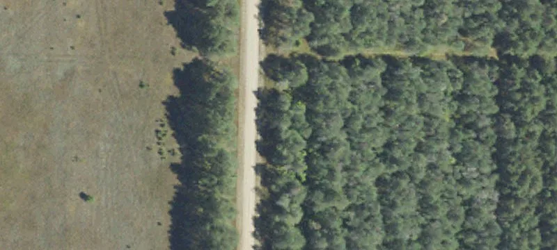 Wooded Northern Michigan Land Package