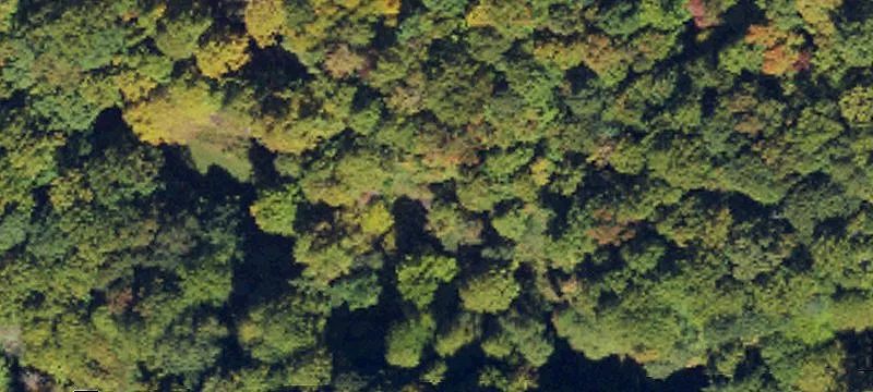 Mountain Land Parcel with Springs