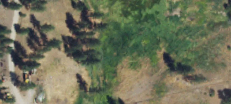 Timbered Recreation Land Parcel
