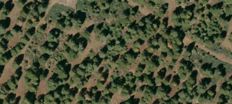 Recreation and Hunting Land Parcel