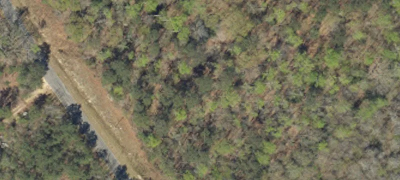 Hillside Farmland with Stream