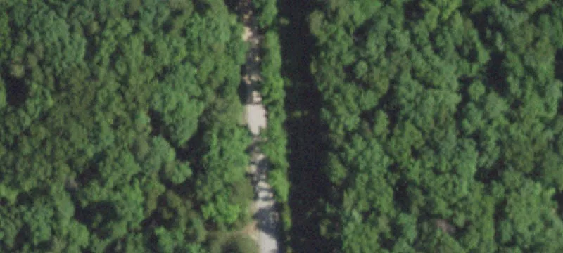 Timber and Field Hunting Land