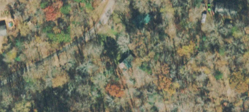 Surveyed Wooded Homesite Land