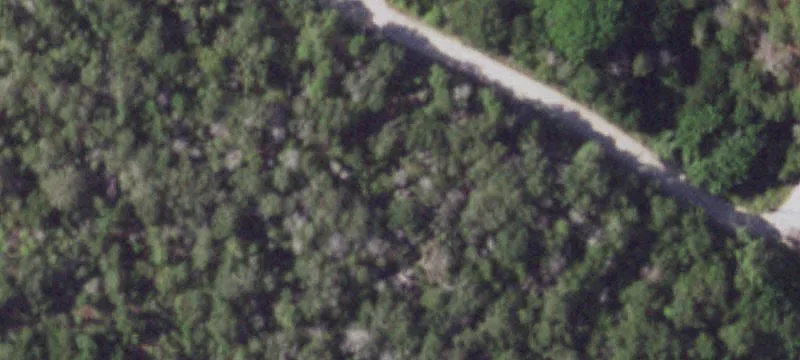 Heavily Wooded Residential Land Lot