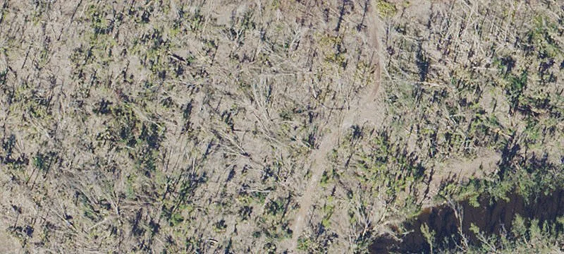 Uncleared C-1 Commercial Land Lot