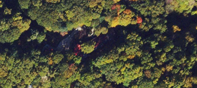 Turnkey Mountain Bed & Breakfast