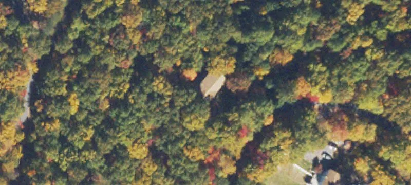 Wooded Building Lots with Paved Frontage