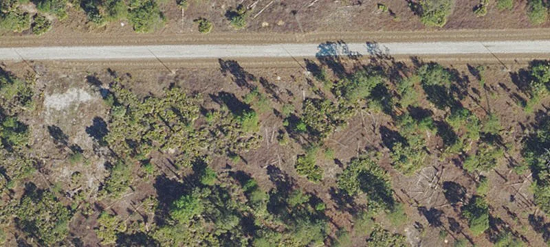 Adjacent Single-Family Residential Lots