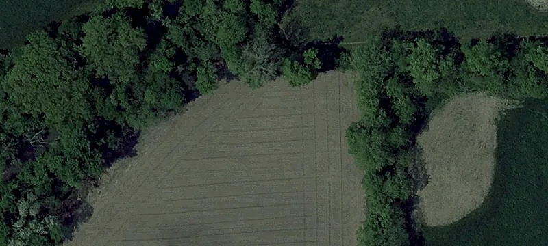 Wooded Residential Home Lot