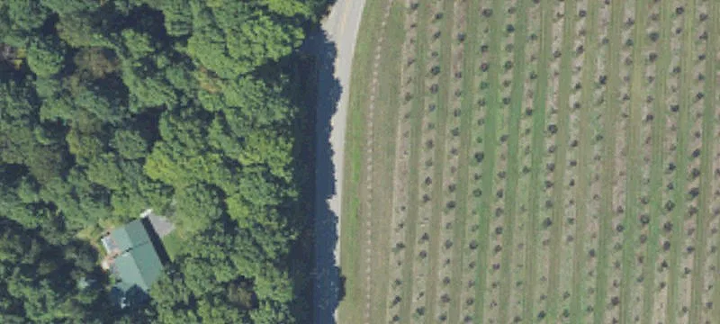 Gently Sloping Orchard-View Land