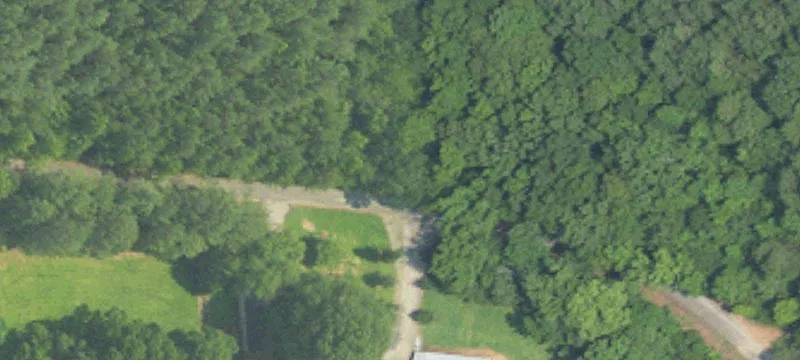 Timber and Recreational Land