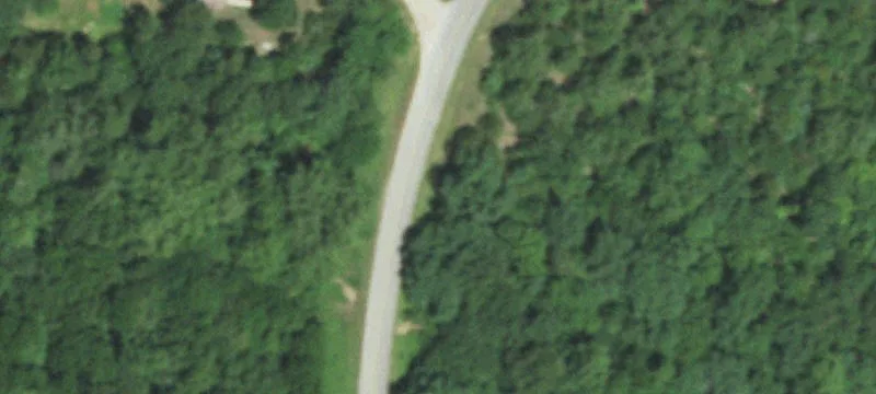 Wooded Buildable Land Parcel